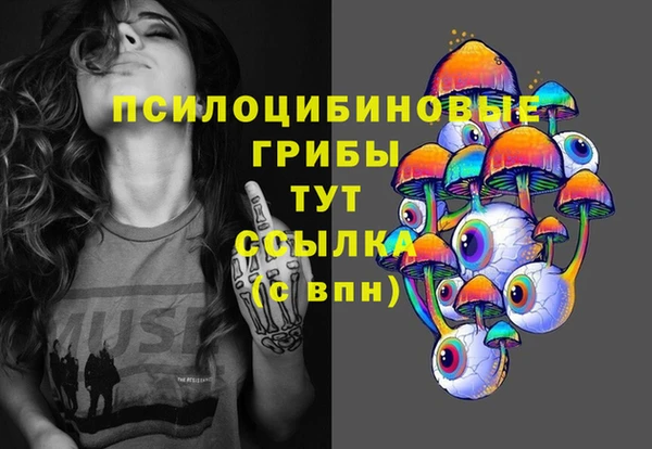 бошки Абаза