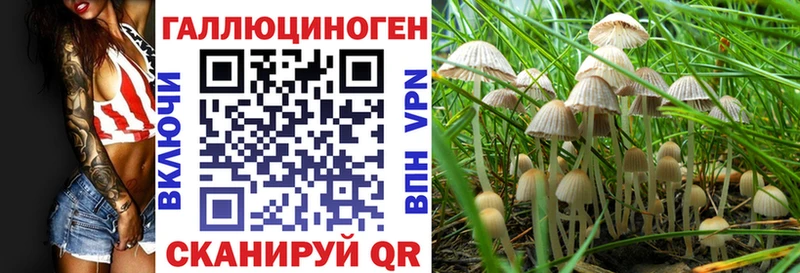 где купить наркоту  Пудож  Псилоцибиновые грибы MAGIC MUSHROOMS 